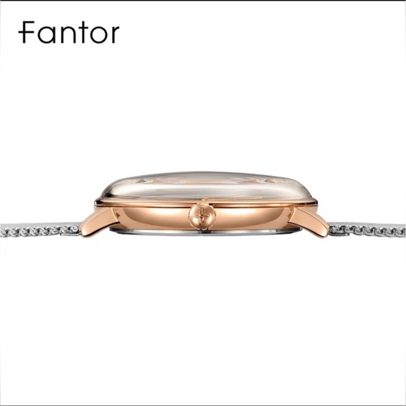 Designer - Fantor 10021 Mesh Chain Men’s Watch, Water Resistant - Picture 5 of 12